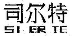 司尔特