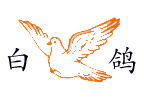白鸽