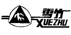 雪竹XUEZHU及图