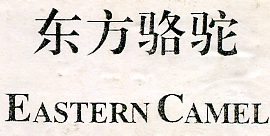 东方骆驼