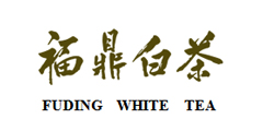 福鼎白茶FUDING WHITE TEA