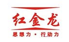 红金龙